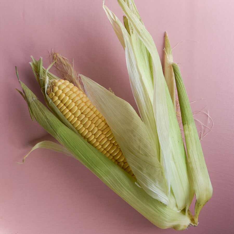 Frischekiste Maiskolben 2 Stück