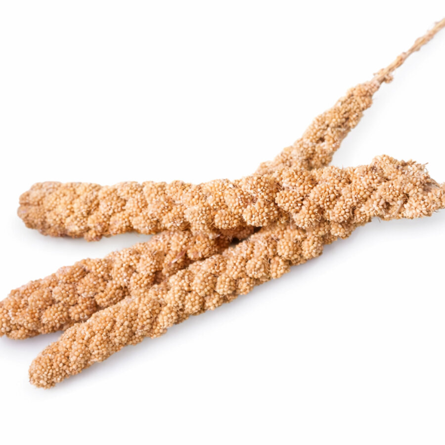 grünhopper Épis de millet 3 pièces