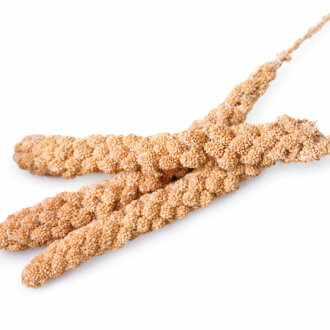 grünhopper Épis de millet 3 pièces