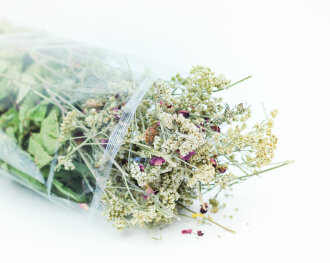 grünhopper Rêve de printemps