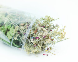 grünhopper Rêve de printemps