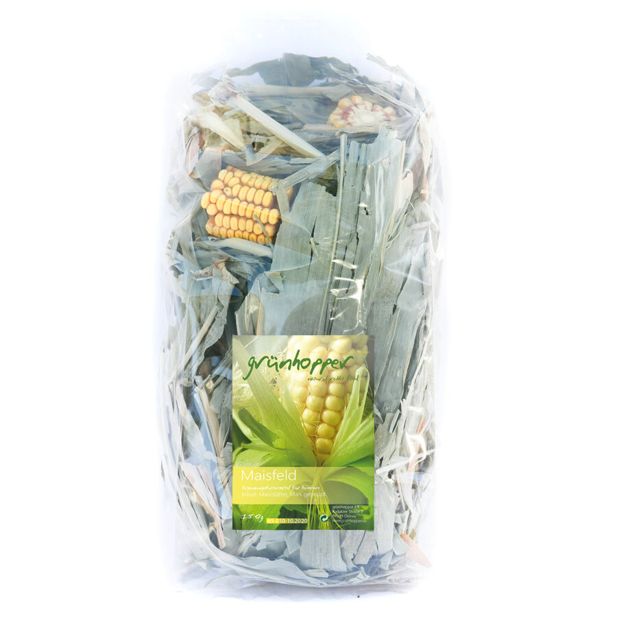 grünhopper Champ de maïs