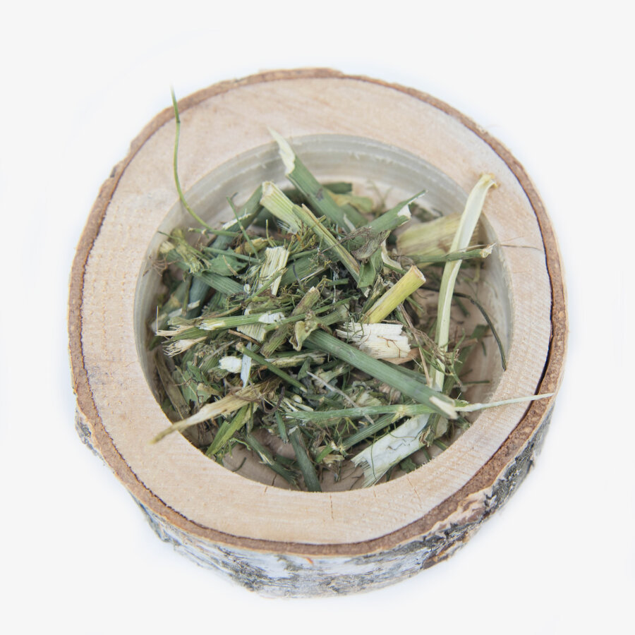 grünhopper fenouilkraut