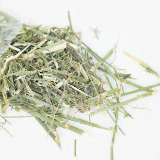 grünhopper fenouilkraut