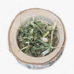 grünhopper fenouilkraut