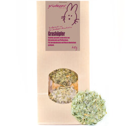 grünhopper Grashüpfer