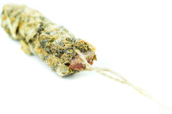 grünhopper Barnies Dandelion