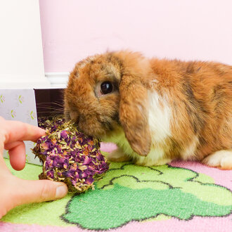 grünhopper Mümmelrosen