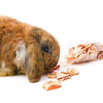 grünhopper Pomme de Noël