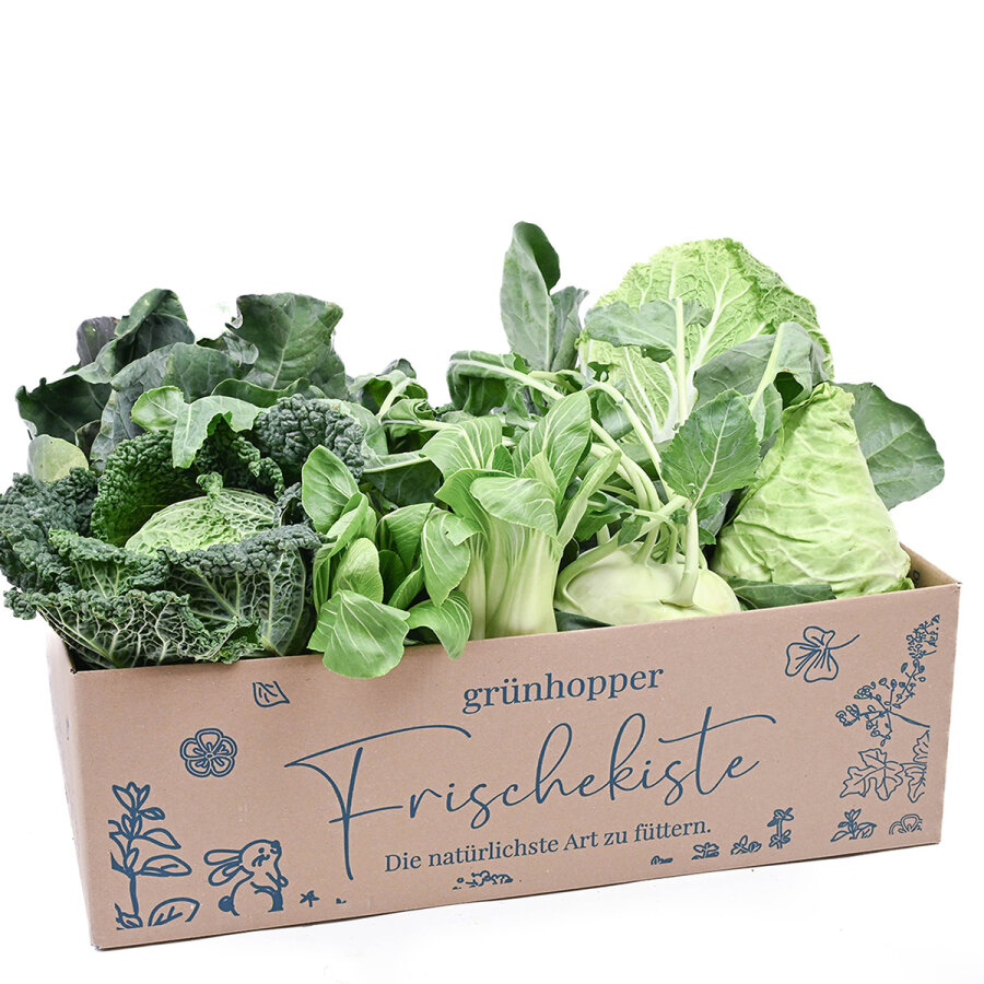 Frischekiste Kohlbox 5 kg