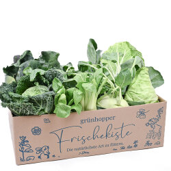 Frischekiste Kohlbox 5 kg