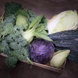 Frischekiste Kohlbox 5 kg