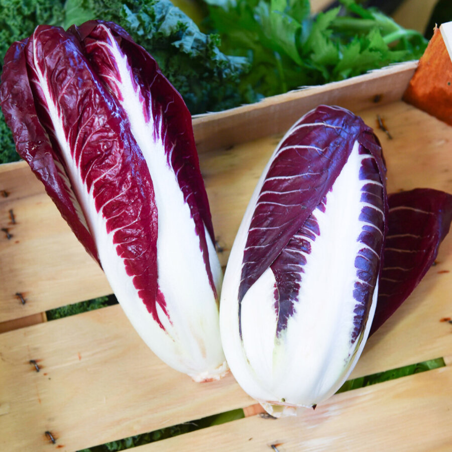 Frischekiste Trivisano