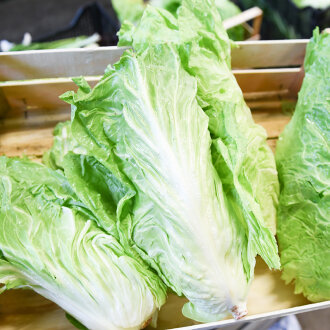 Frischekiste Zuckerhut