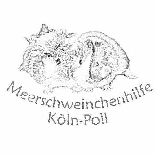Spendenaktion - Meerschweinchenhilfe - Poll