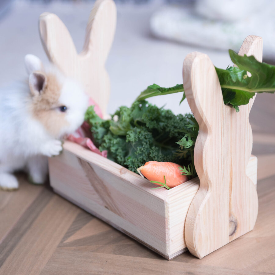 Hopplwerk Raufe Baldwin