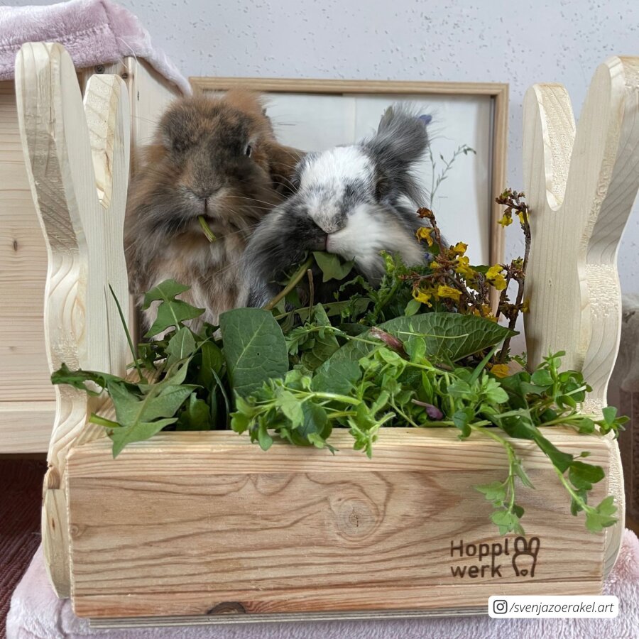 Hopplwerk Raufe Baldwin