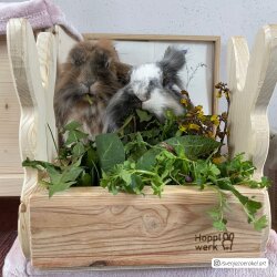 Hopplwerk Raufe Baldwin