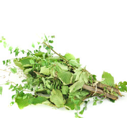 Frischekiste Knabberhölzer