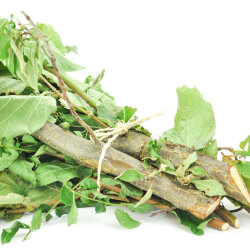 Frischekiste Knabberhölzer