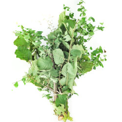 Frischekiste Knabberhölzer