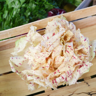 Frischekiste Castel franco