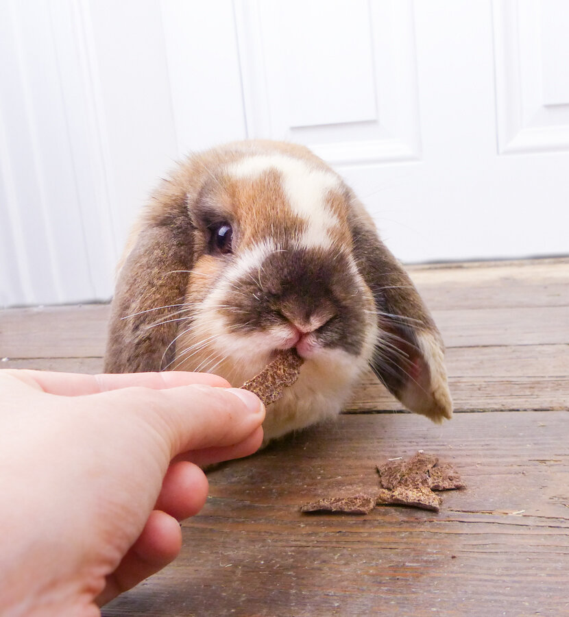 grünhopper Graines de chanvre-Cameline Flocken