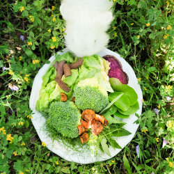 grünhopper Graines de chanvre-Cameline Flocken