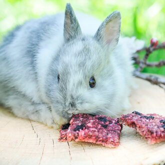 Hopps groseille rouge