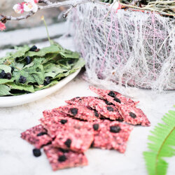 Hopps groseille rouge