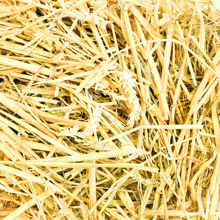 grünhopper Haferstroh 1kg