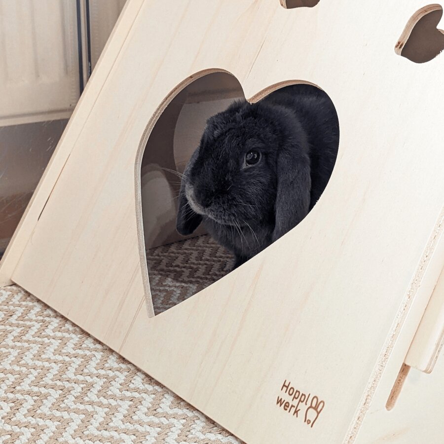 Hopplwerk bunny heart house