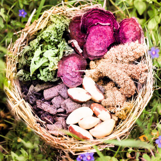 bunnybowl beets and kale