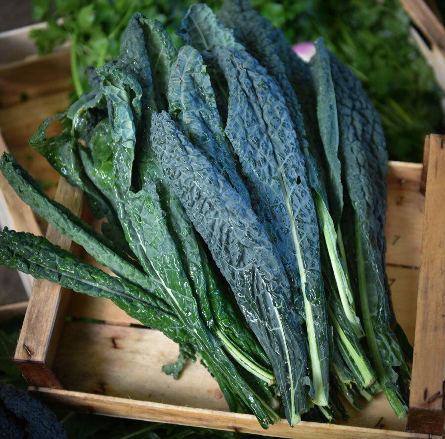 Frischekiste Schwarzkohl