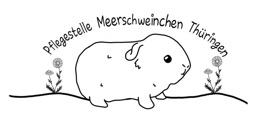 Spendenaktion - Pflegestelle Meerschweinchen Thüringen