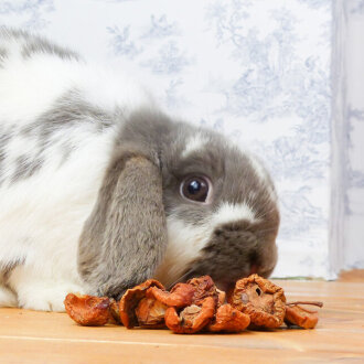 grünhopper Pomme sauvage