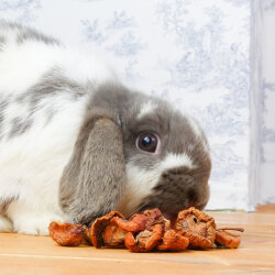 grünhopper Pomme sauvage