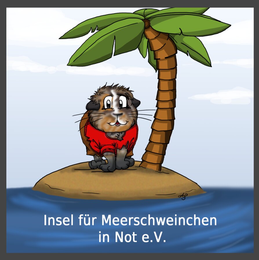 Spendenaktion - Insel für Meerschweinchen in Not e.V.