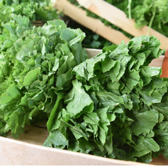 Frischekiste Römersalat