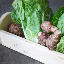 Frischekiste Römersalat