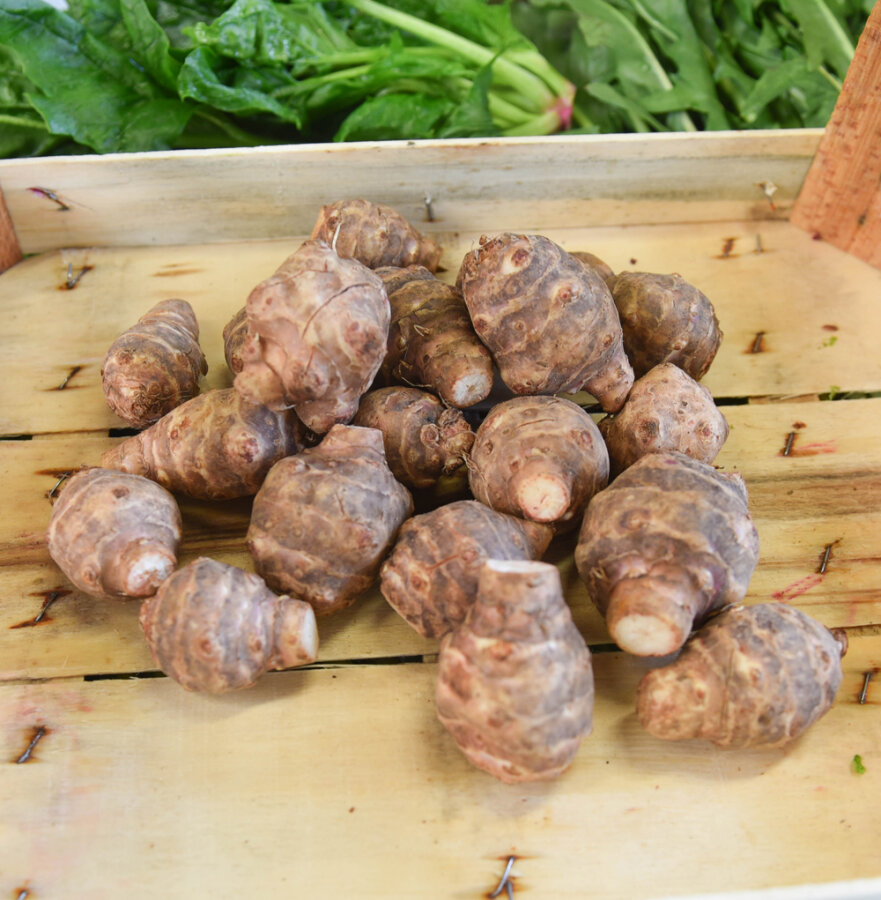 Frischekiste Topinambur