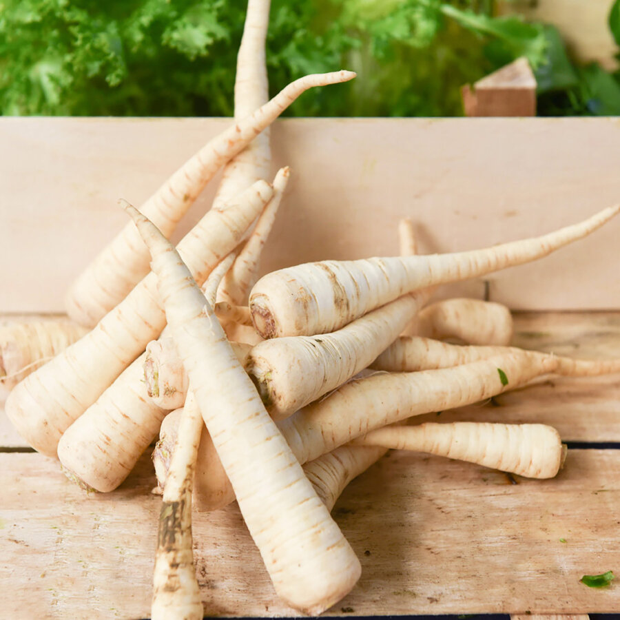 Frischekiste Petersilienwurzel