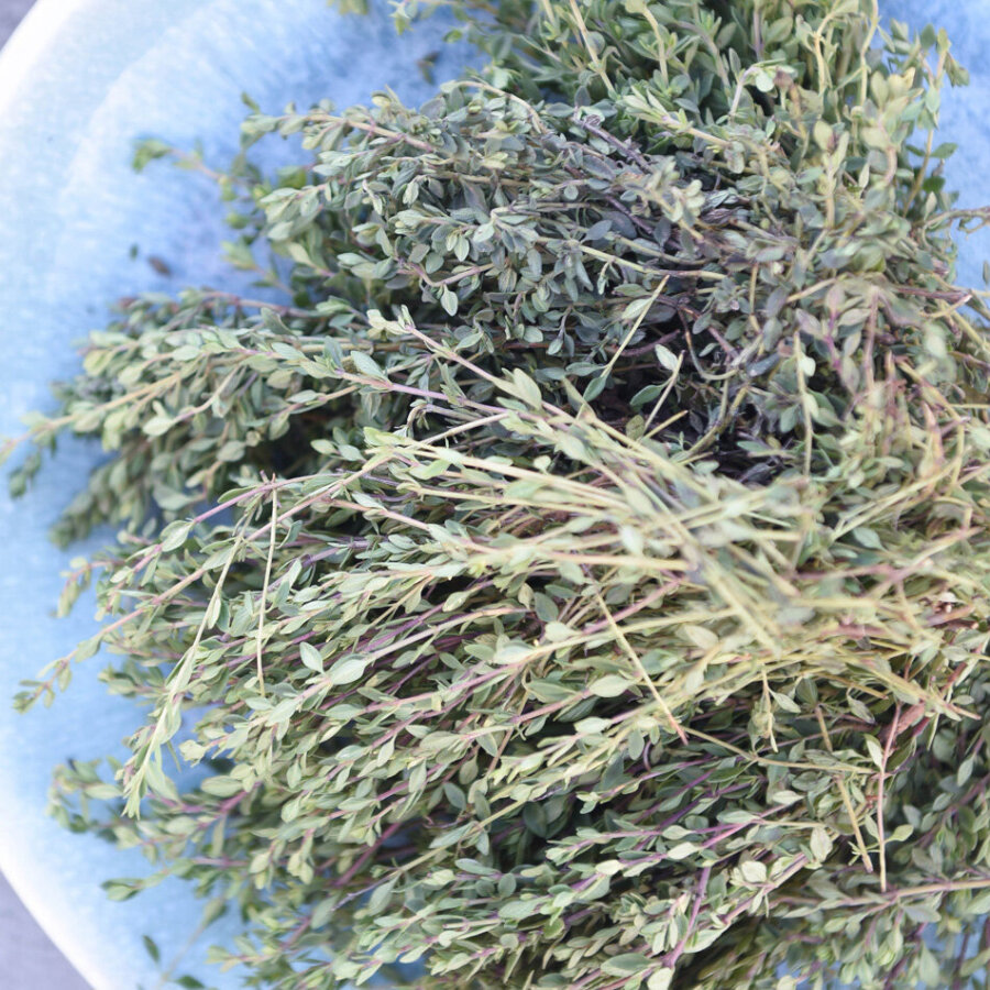 Frischekiste Thymian