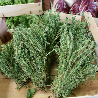 Frischekiste Thymian