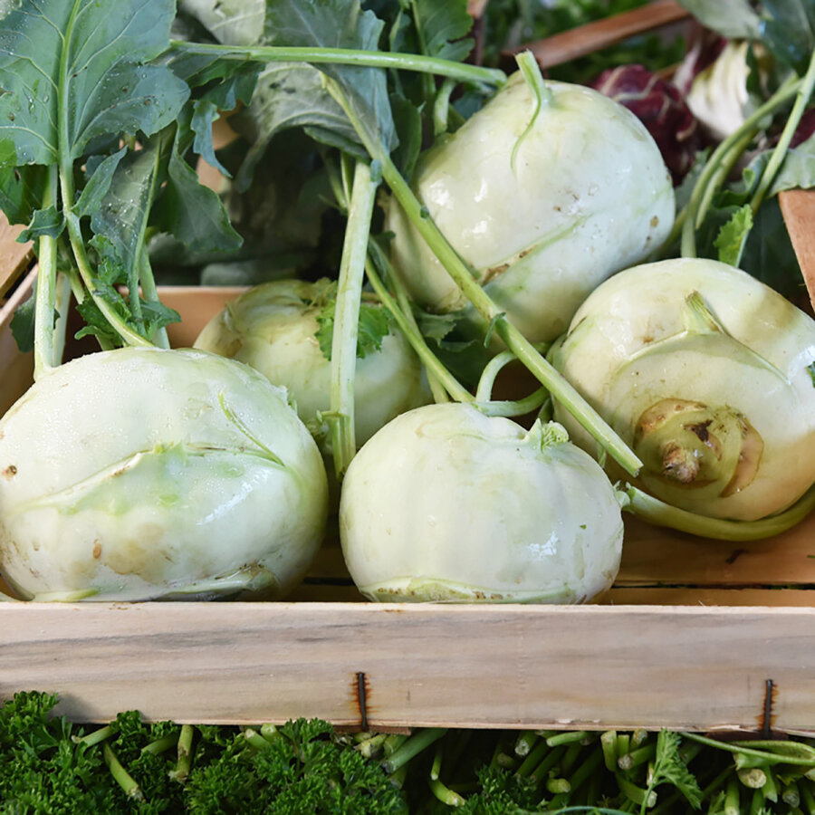 Frischekiste Kohlrabi mit Blätter
