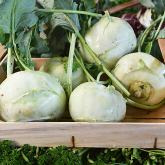 Frischekiste Kohlrabi mit Blätter