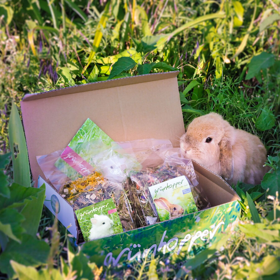 grünhopper Schnupperpaket