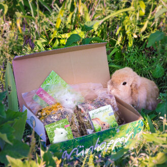 grünhopper Schnupperpaket