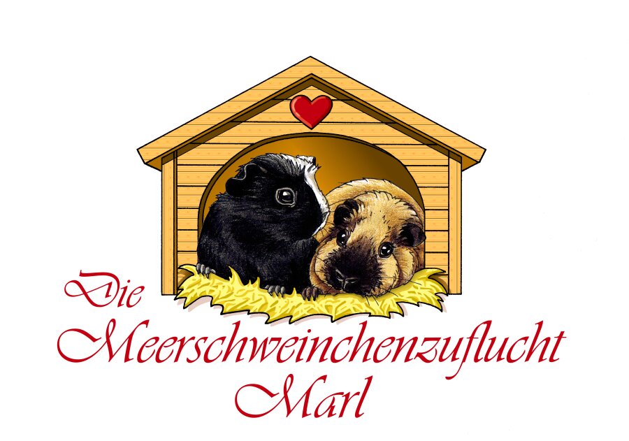 Spendenaktion - Die Meerschweinchenzuflucht Marl