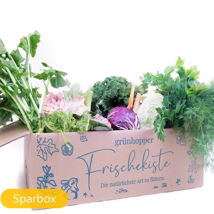 Frischekiste Bunte Vielfalt